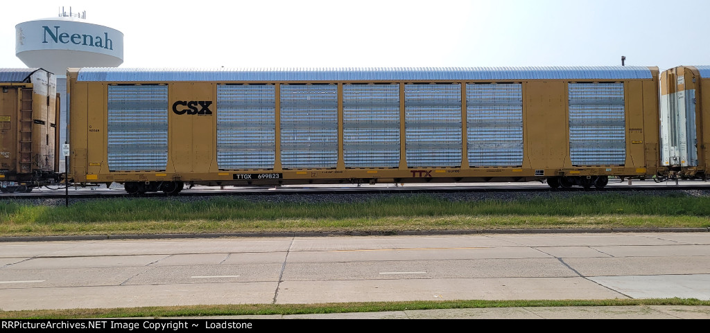 TTGX 699823