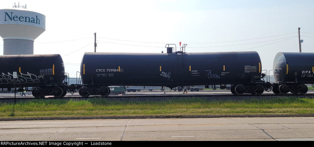 CTCX 729184