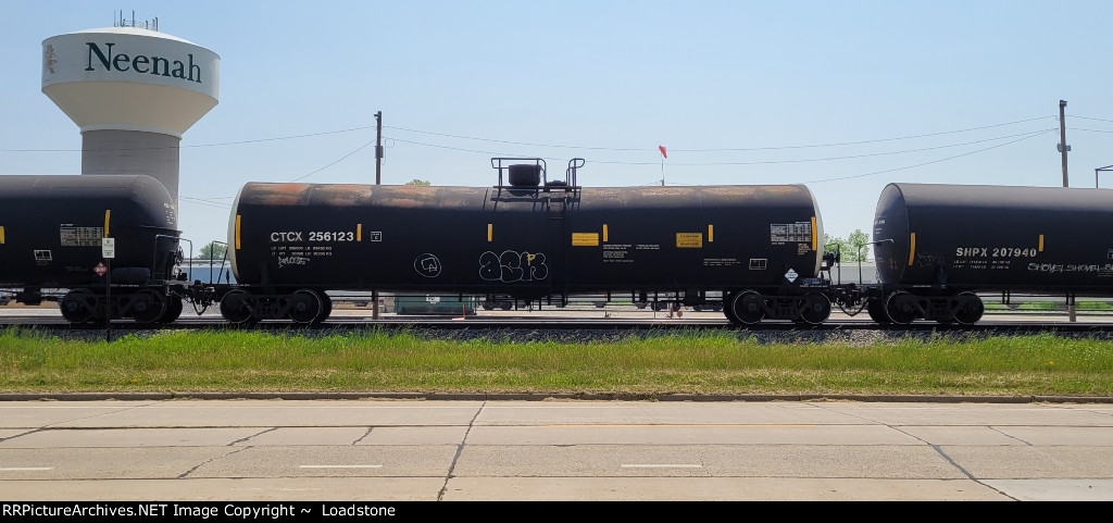 CTCX 256123