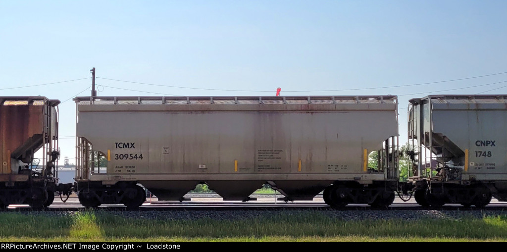 TCMX 309544