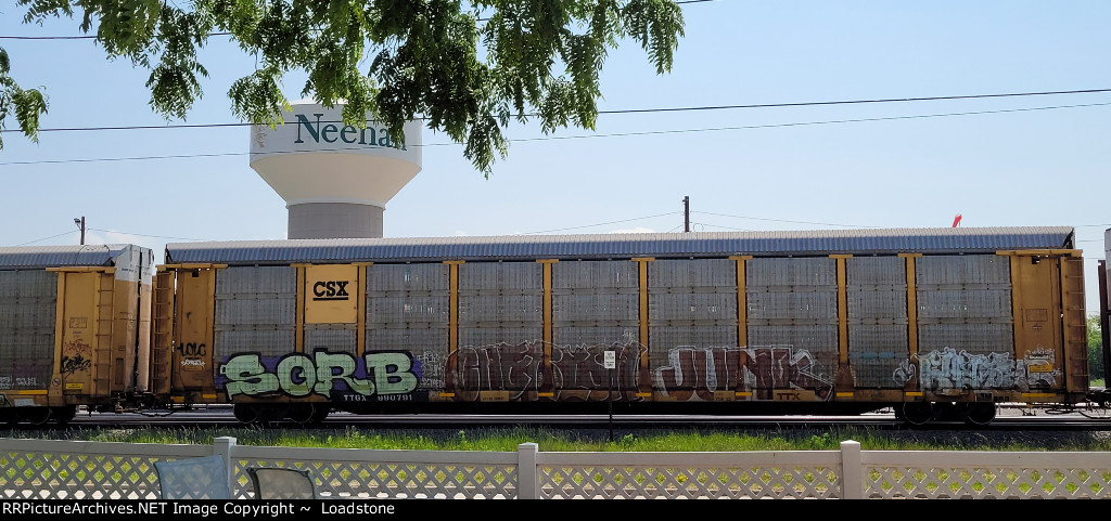 TTGX 980791