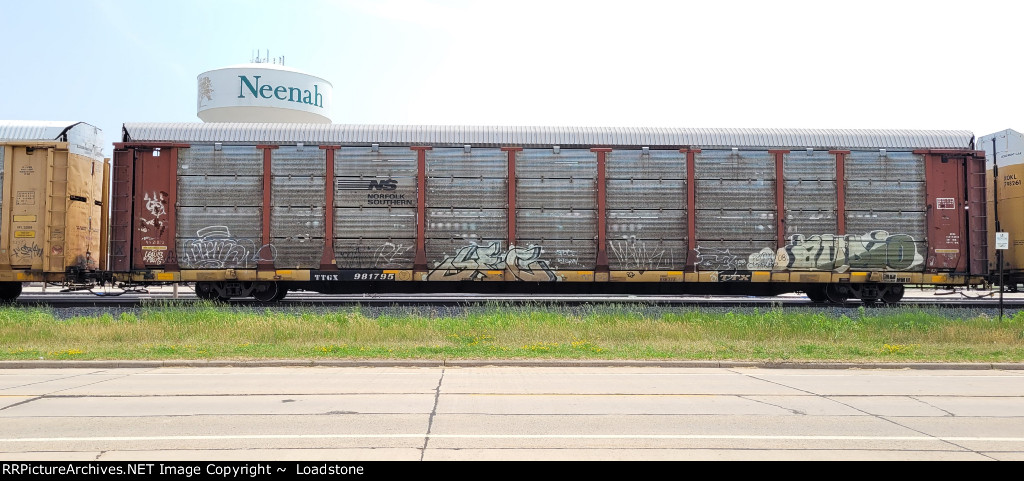 TTGX 981795