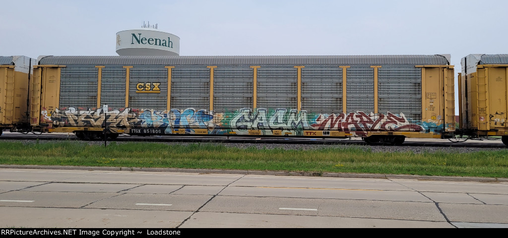 TTGX 951806