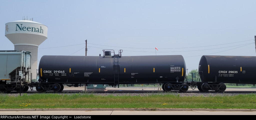CRGX 291065
