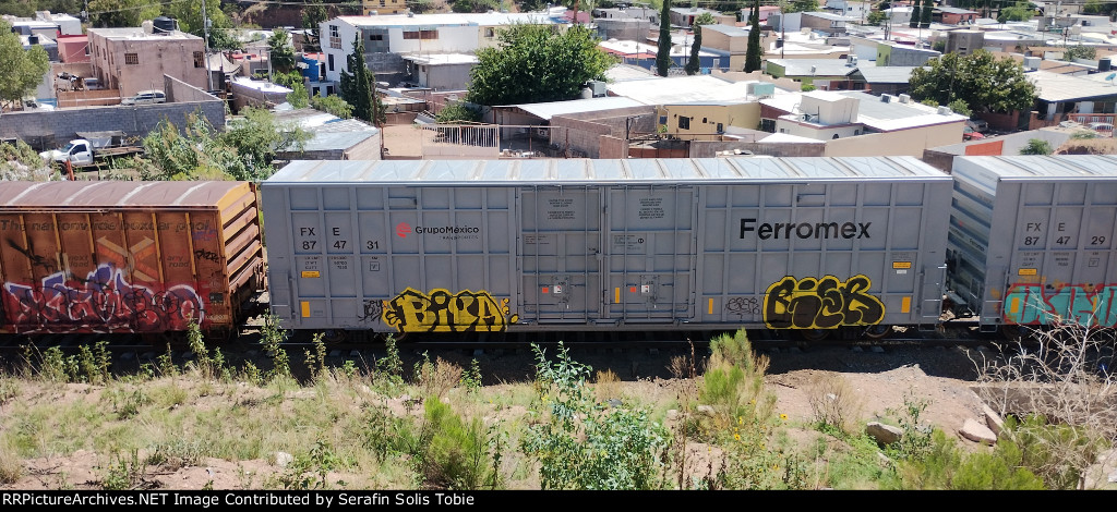 FXE 874731 Con Grafiti 