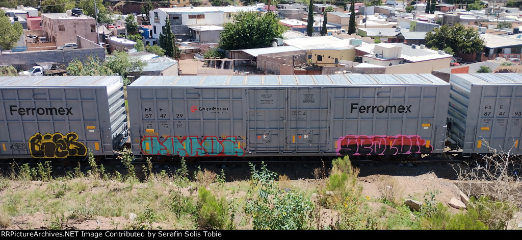 FXE 874729 Con Grafiti 