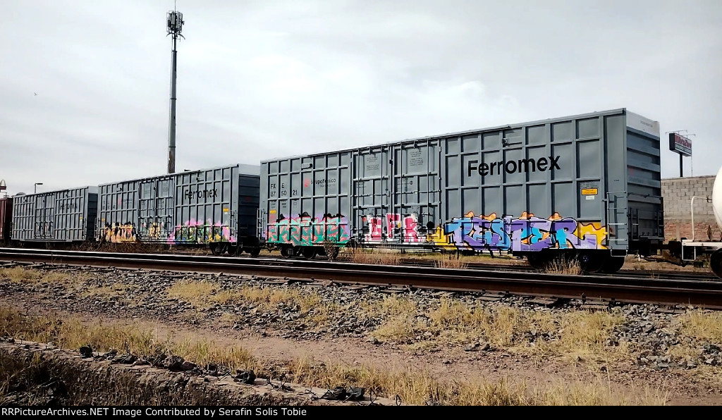 FXE 875021 FXE 875047 FXE 875029