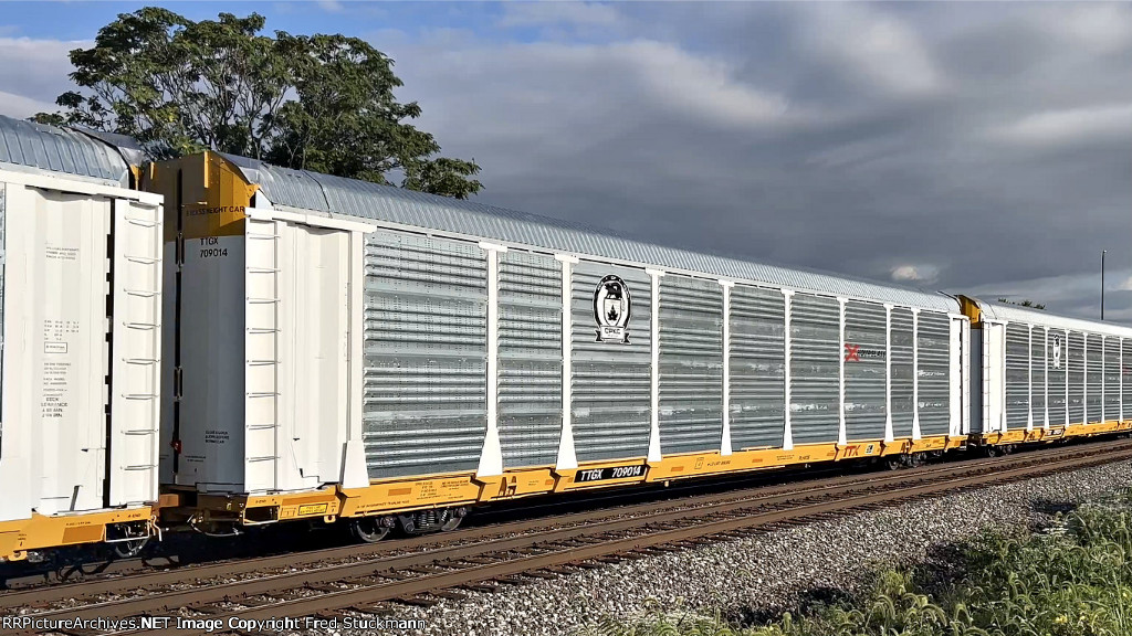 TTGX 709014 is new to rrpa.