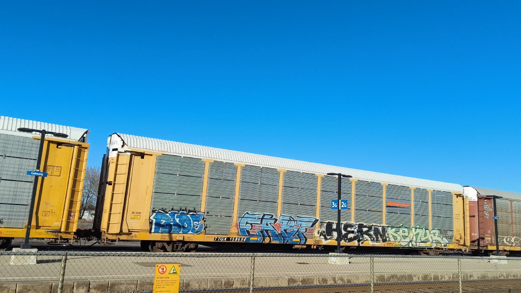 BN 20102 (Body) TTGX 158694 (Flat)