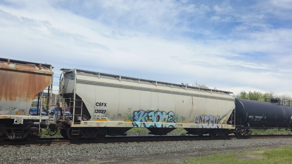 CEFX 12027