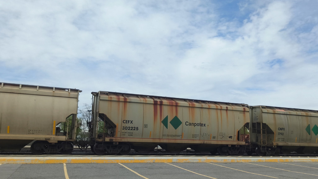 CEFX 302225