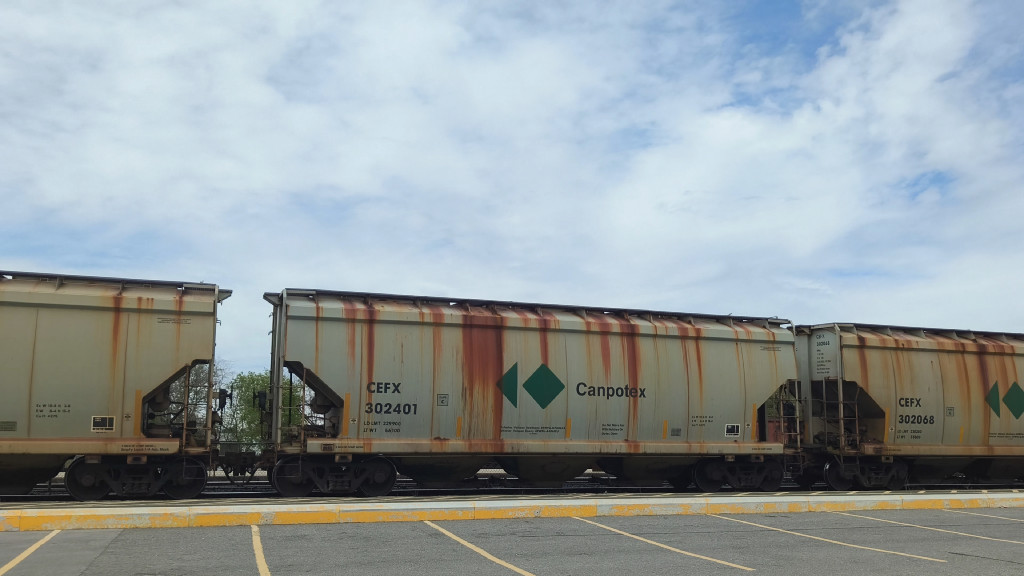 CEFX 302401