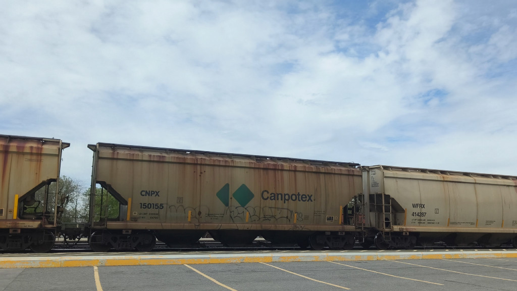 CNPX 150155