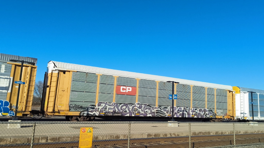 CP 40208 (Body) TTGX 156061 (Flat)