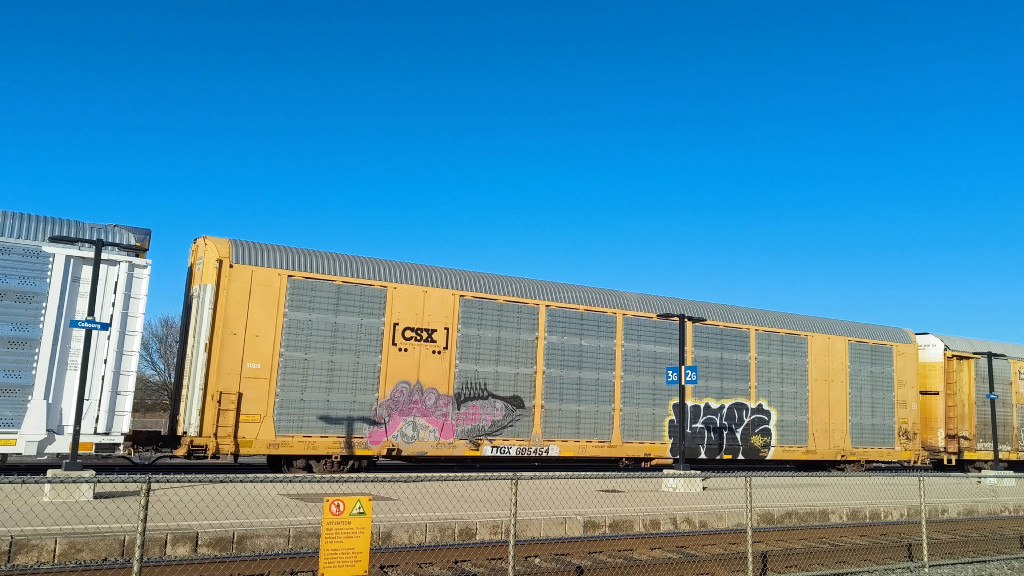 CSX B11838 (Body) TTGX 695454 (Flat)