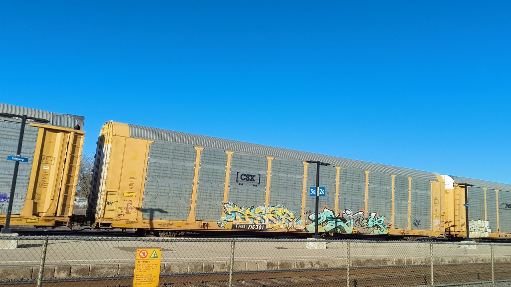 CSX B22233 (Body) TTGX 716301 (Flat)