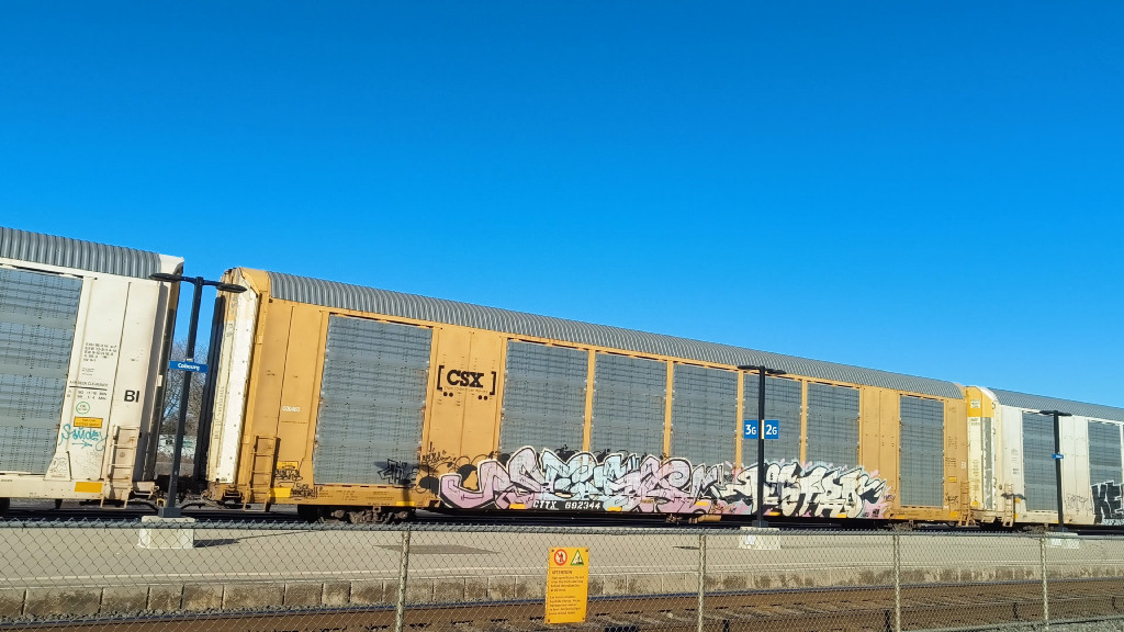 CSX C00460 (Body) CTTX 692344 (Flat)