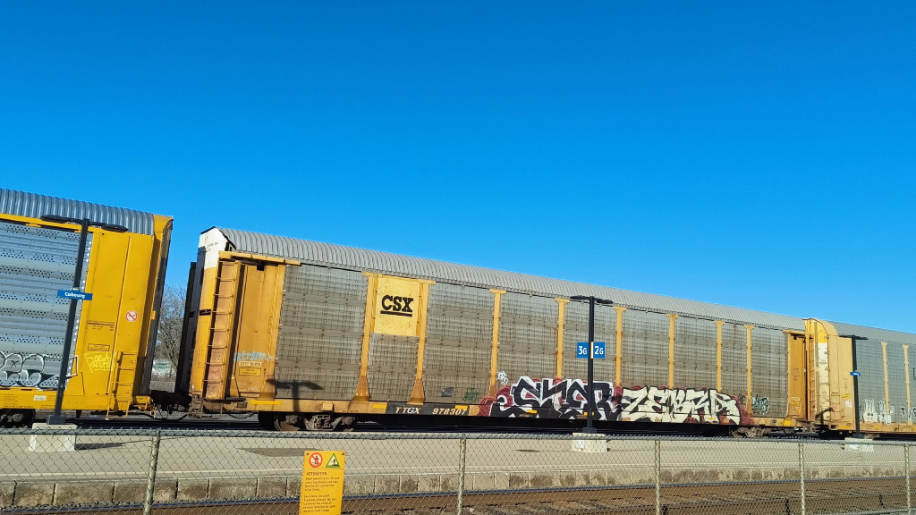 CSXT B11876 (Body) TTGX 978307 (Flat)