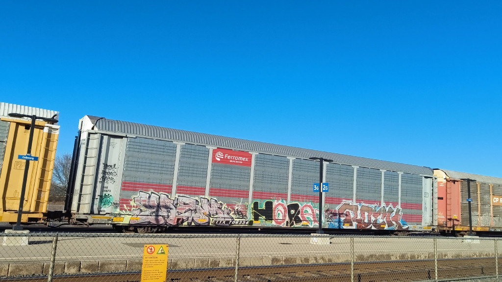 FXE 311673 (Body) ETTX 706334 (Flat)