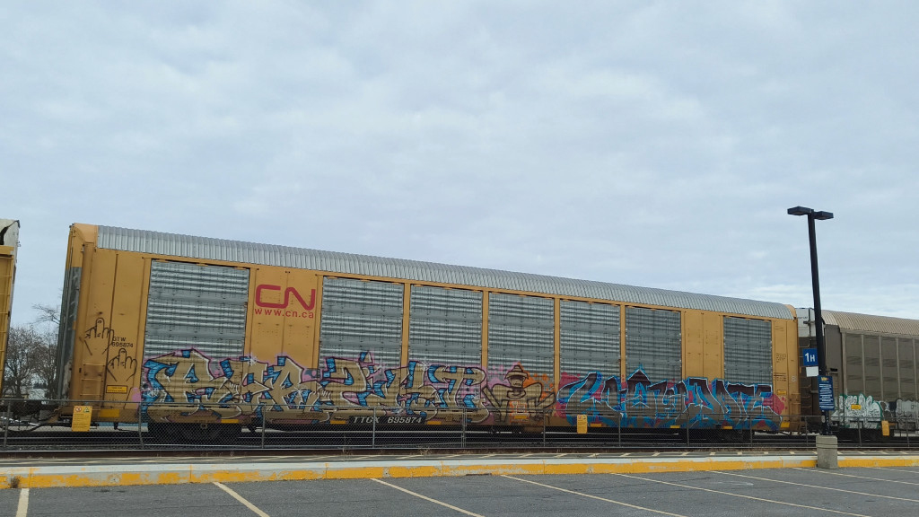 GTW 695874 (Body) TTGX 695874 (Flat)