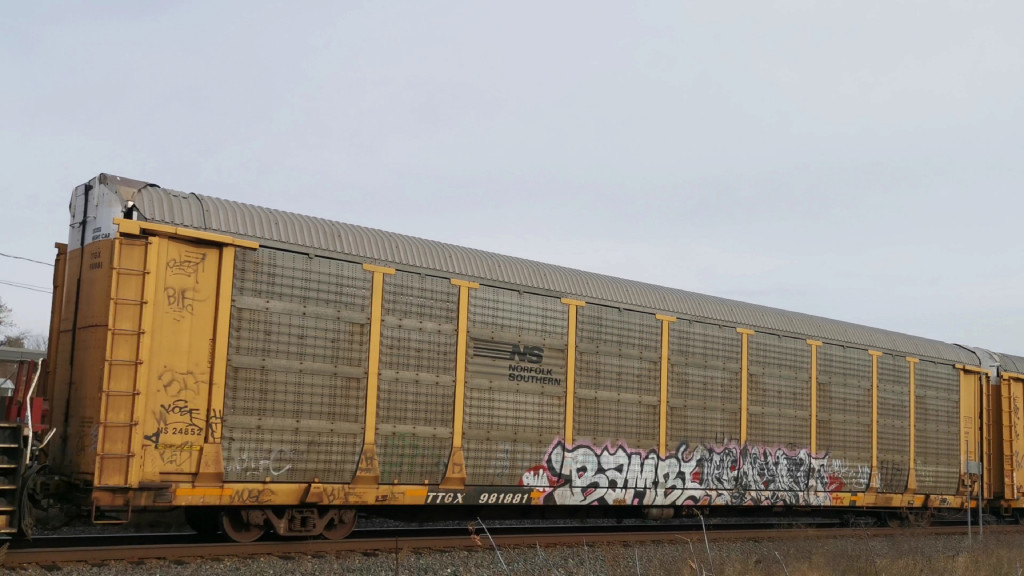 NS 24852 (Body) TTGX 981881 (Flat)