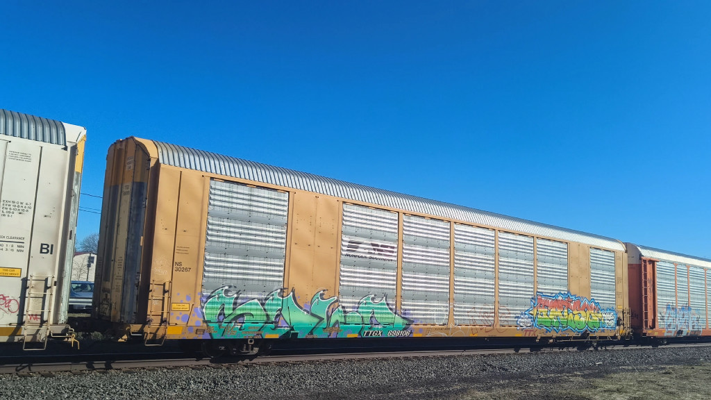 NS 30267 (Body) TTGX 698106 (Flat)