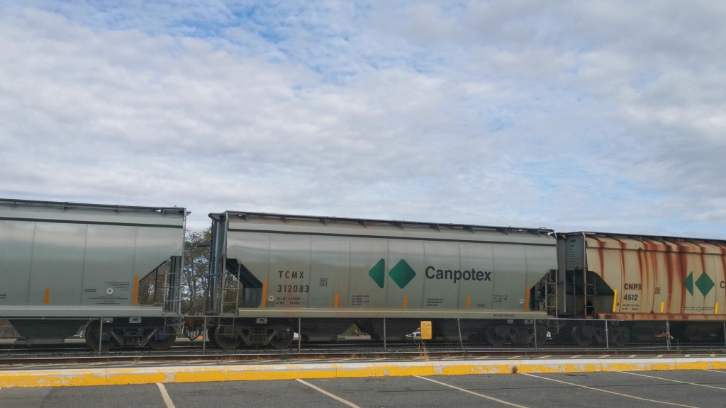 TCMX 312083