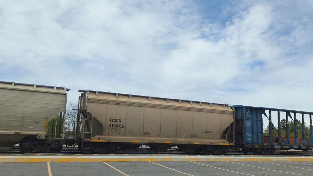 TCMX 313406