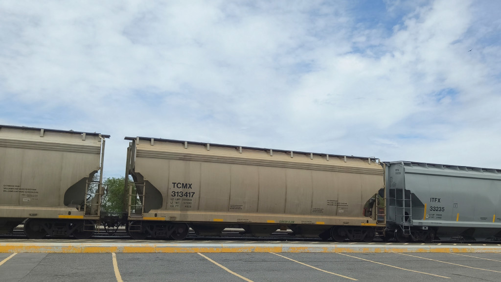 TCMX 313417