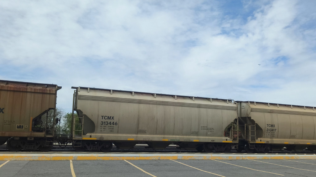 TCMX 313446