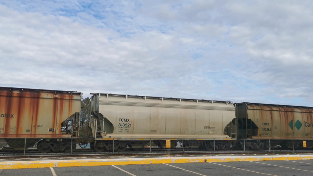 TCMX 313521