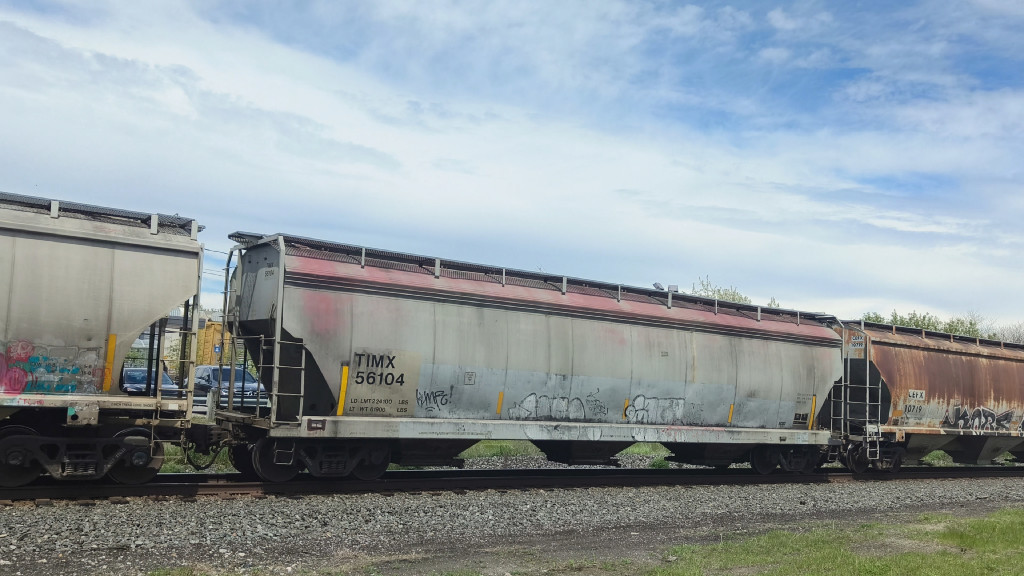 TIMX 56104