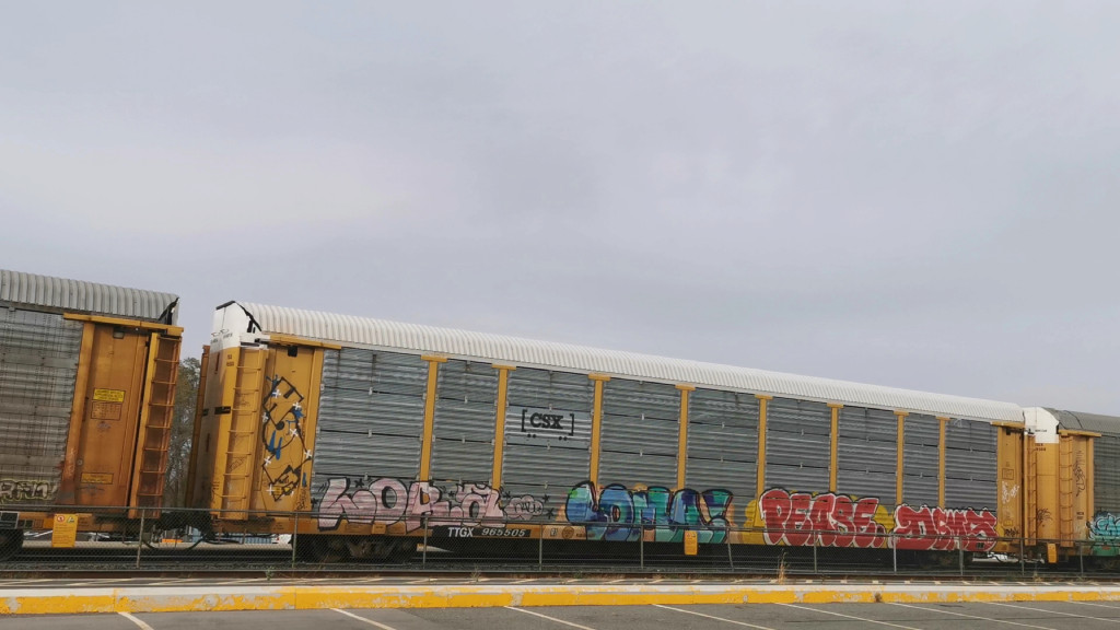 TTGX 965505
