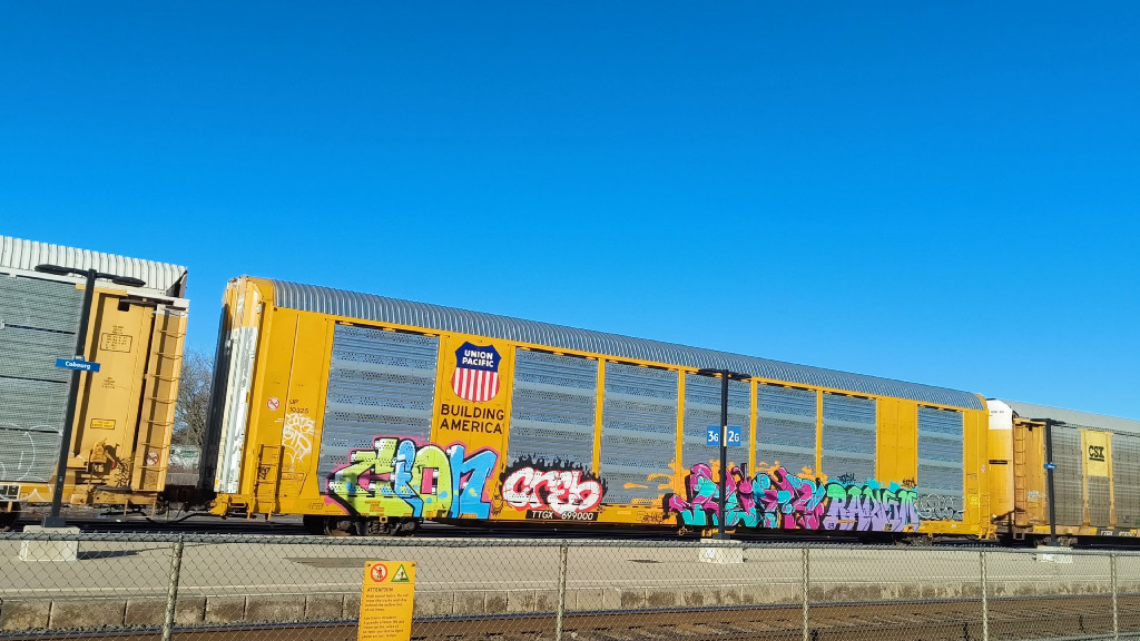 UP 10325 (Body) TTGX 699000 (Flat)