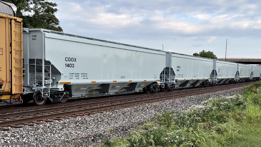 CGOX 1403 is new to rrpa.
