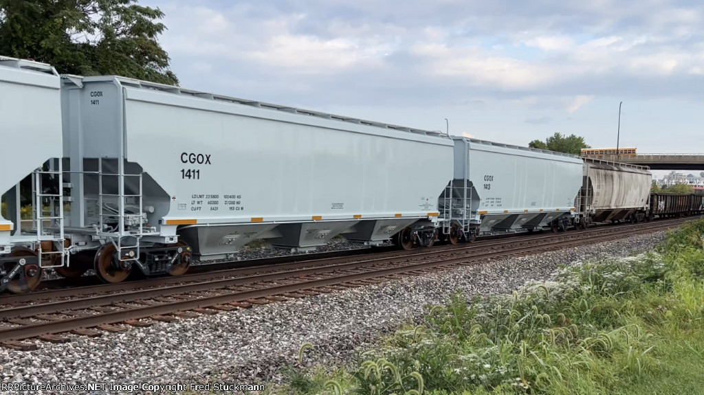 CGOX 1411 is new to rrpa.