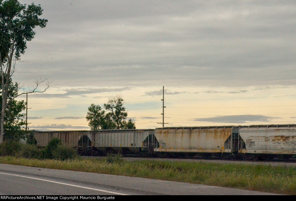 Covered Hoppers in the yard