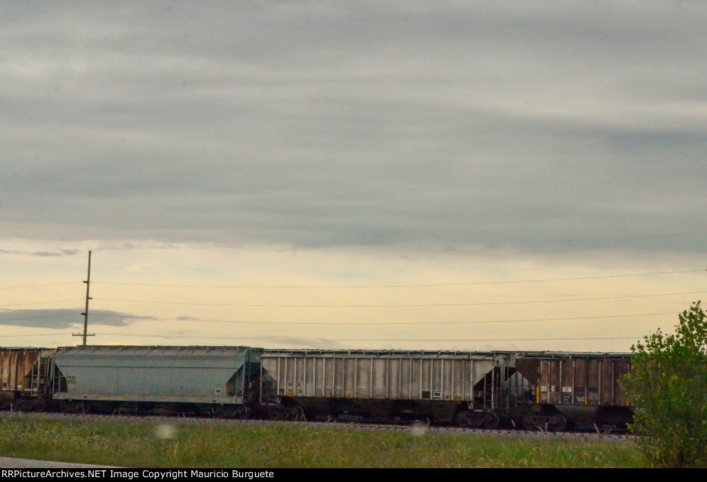 Covered Hoppers in the yard