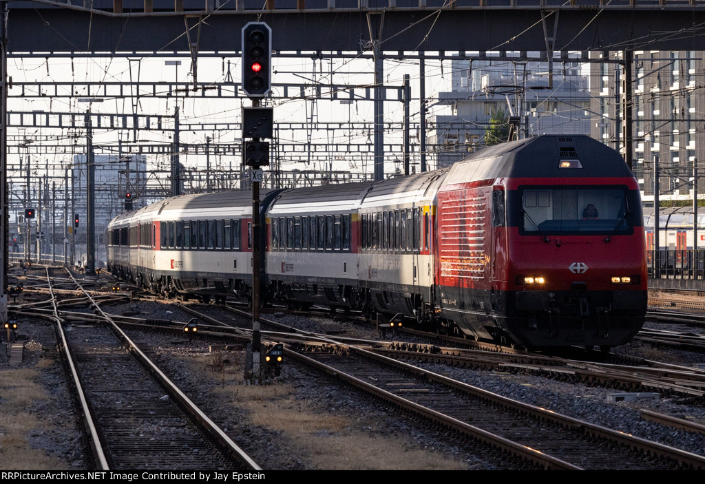 Picking its way into Town