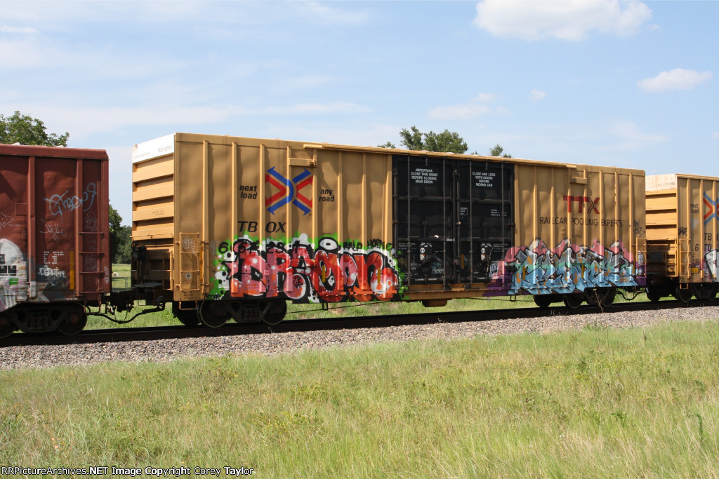 TBOX 667231