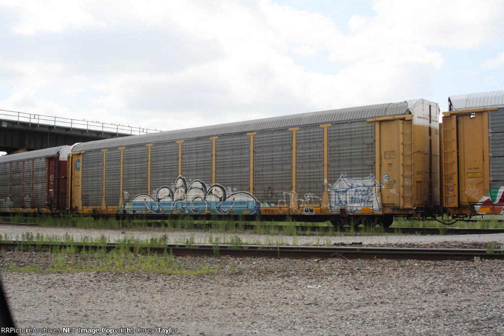 TTGX 989016