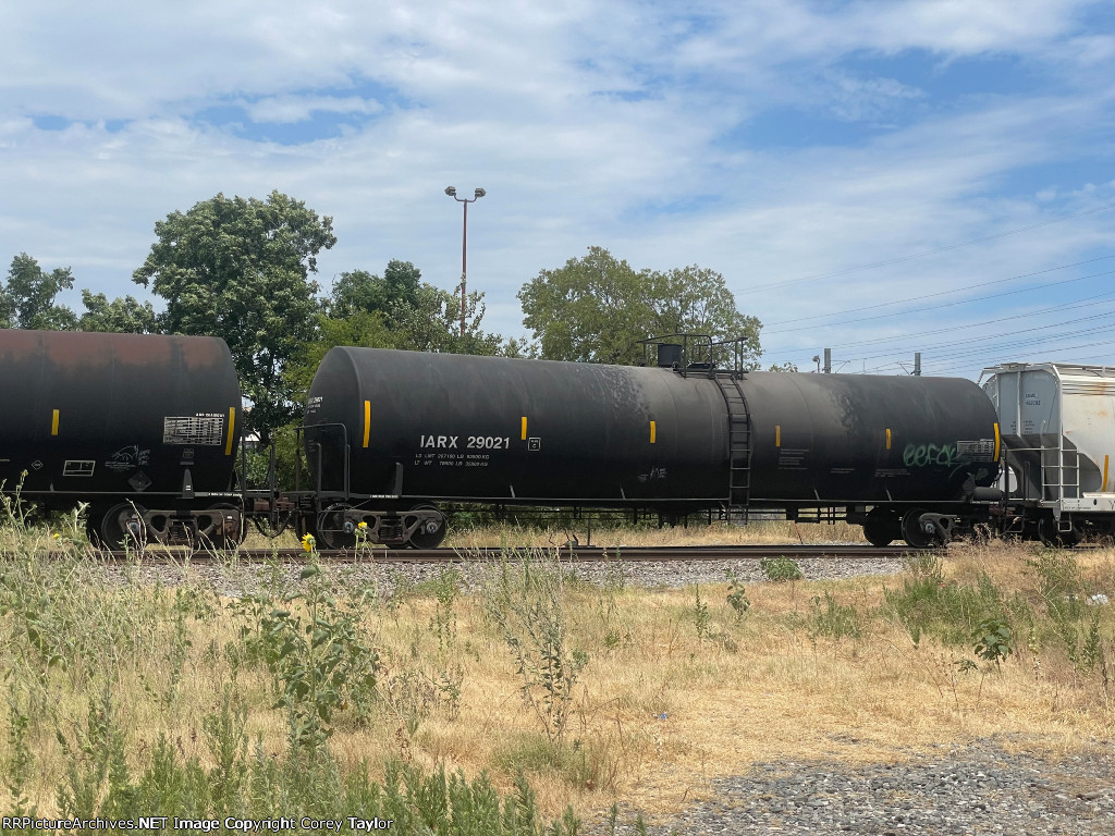 IARX 29021