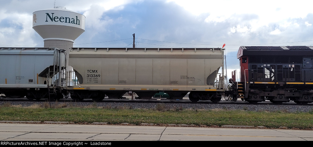 TCMX 313369