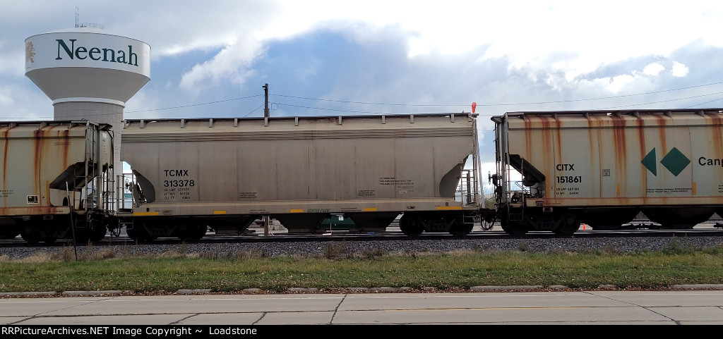 TCMX 313378