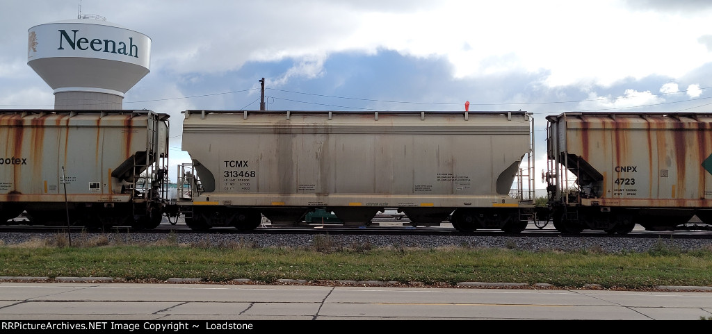 TCMX 313468
