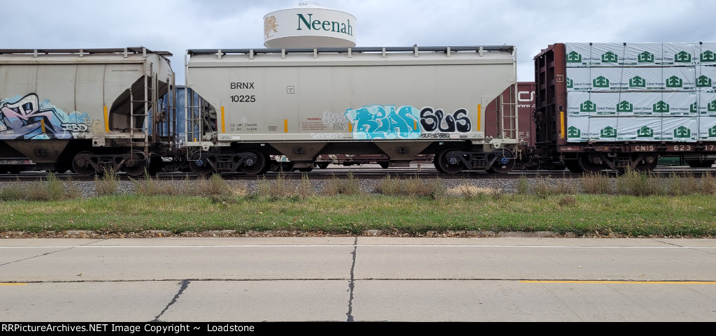 BRNX 10225