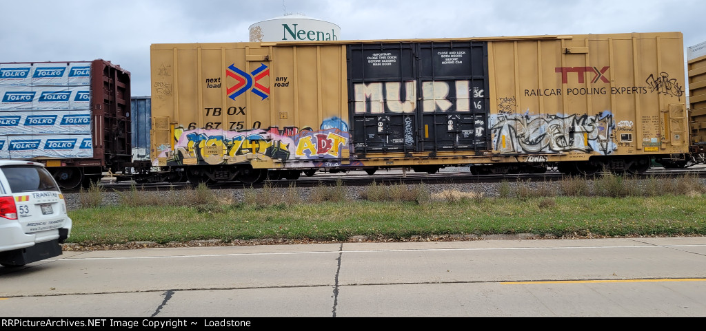 TBOX 667750