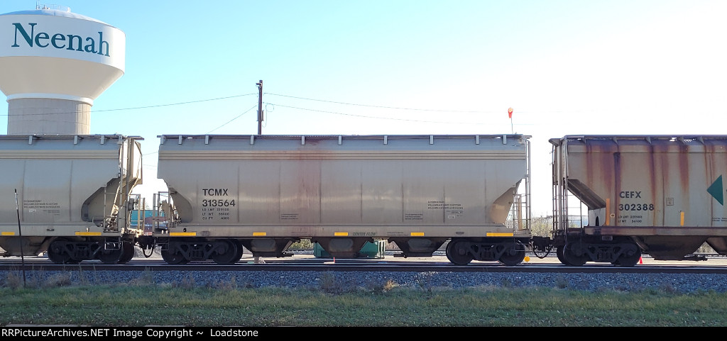 TCMX 313564