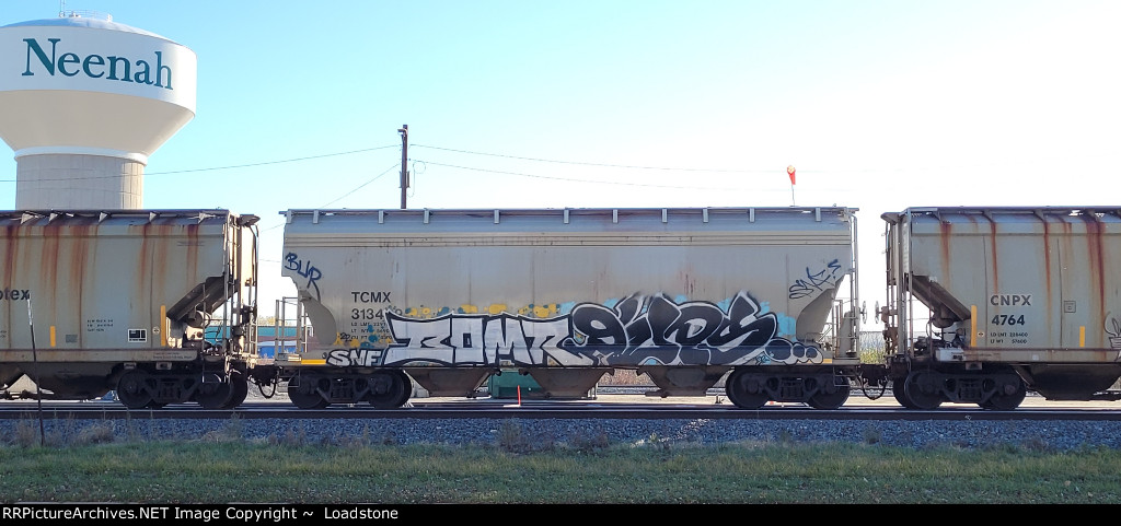 TCMX 313402
