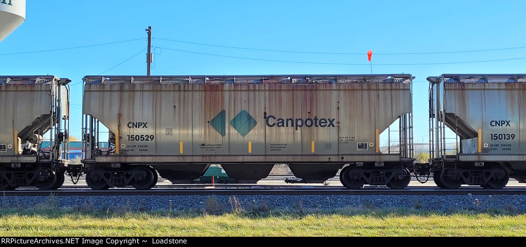 CNPX 150529